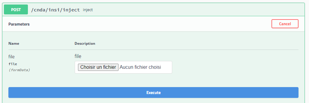CNDA_injection_swagger_file.png